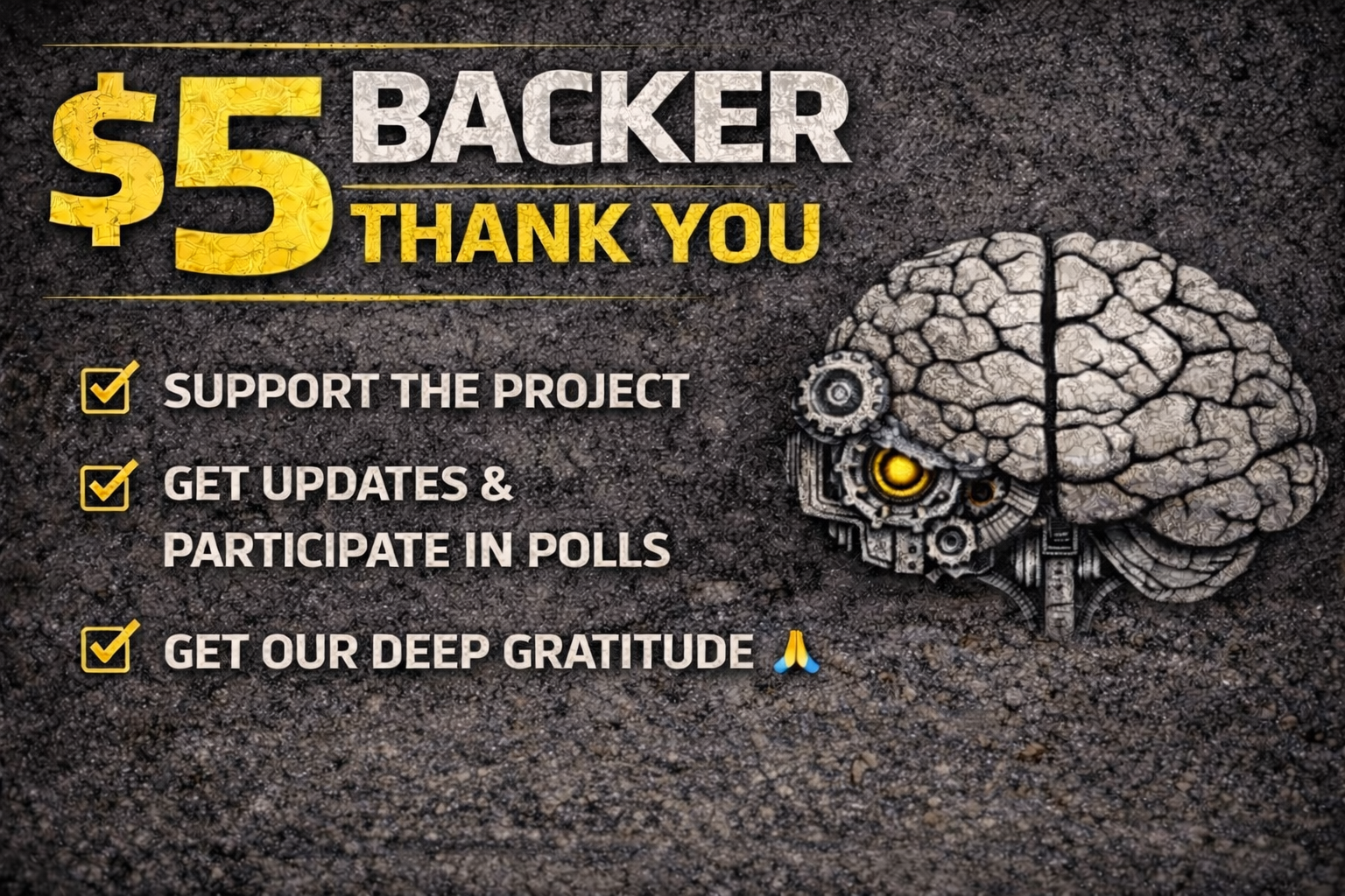 $5 — Backer / Supporter